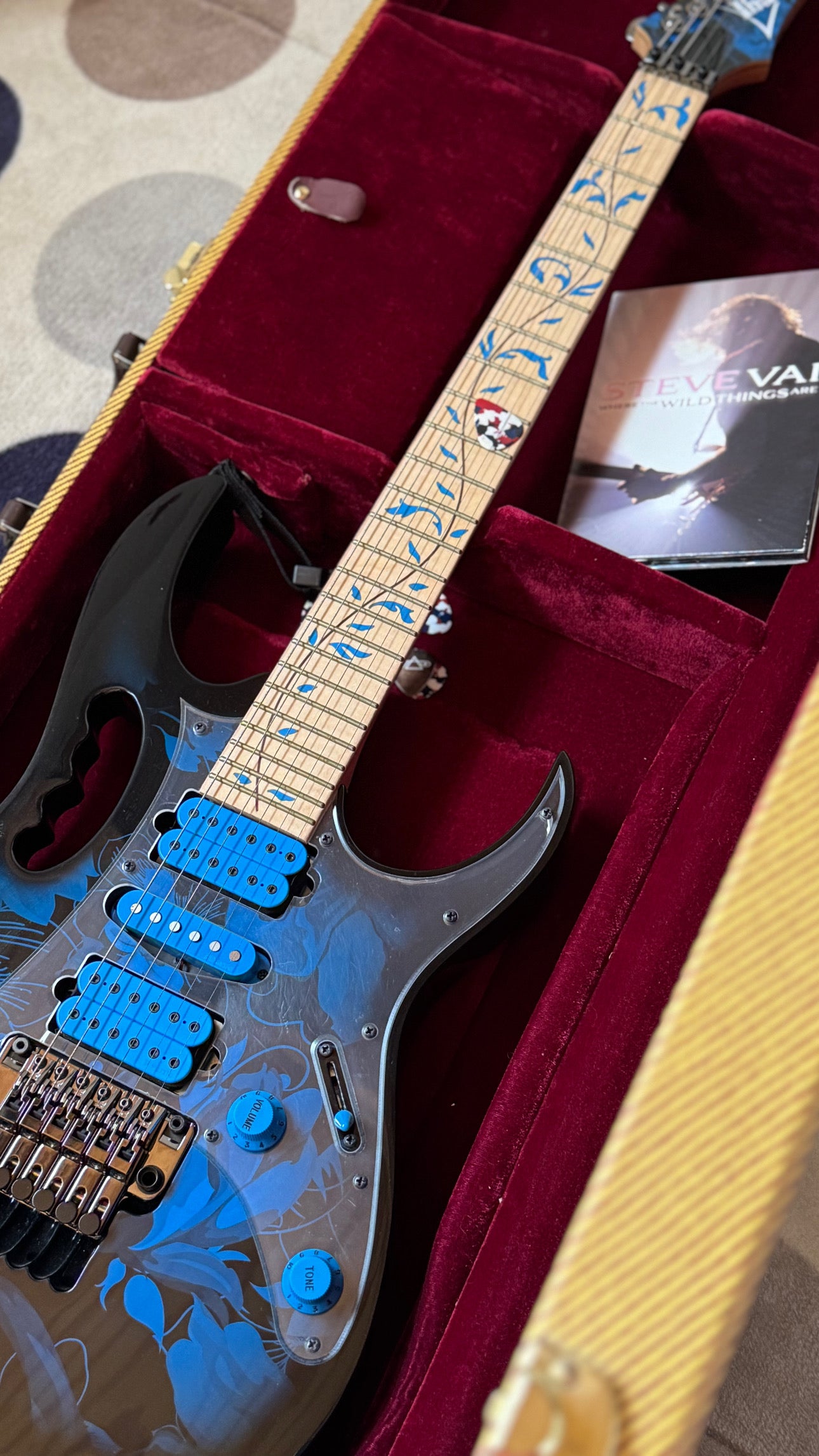 Guitarra Ibanez Steve Vai